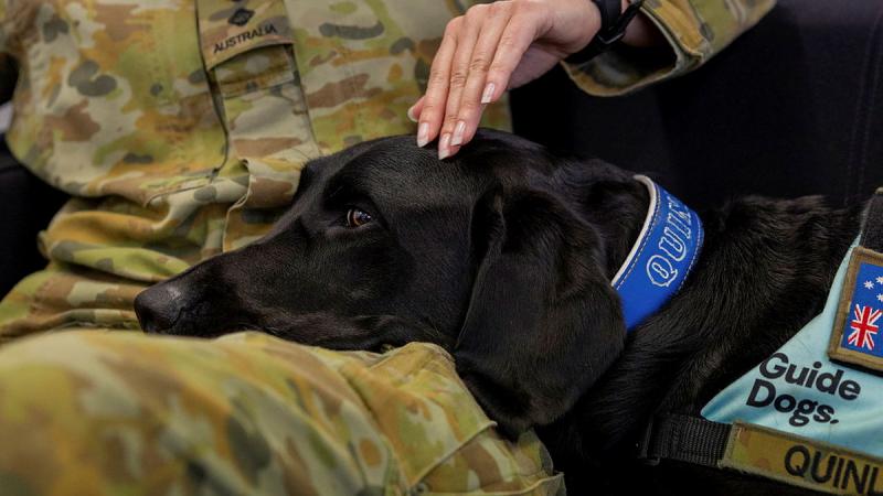 A dog places its head in the lap of a military member and receives pats.