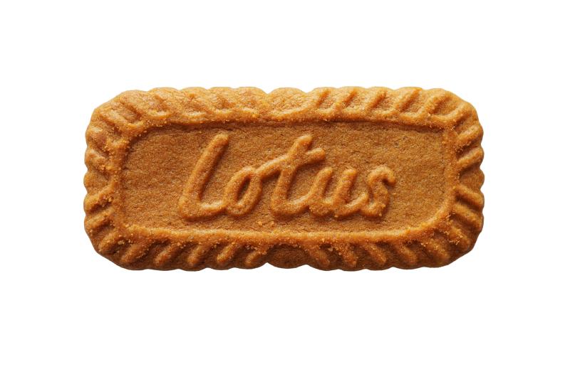 Biscuit