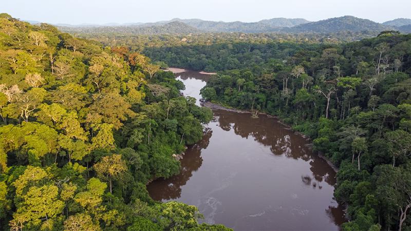 A brown river snaking throw a jungle.