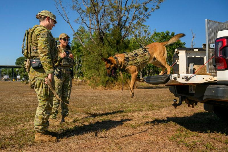 Two military women watch a working dog jump from the back of a vehicle.