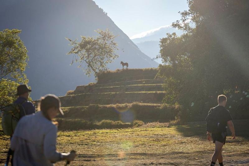 People walk past a pony standing on a terraced hillside.