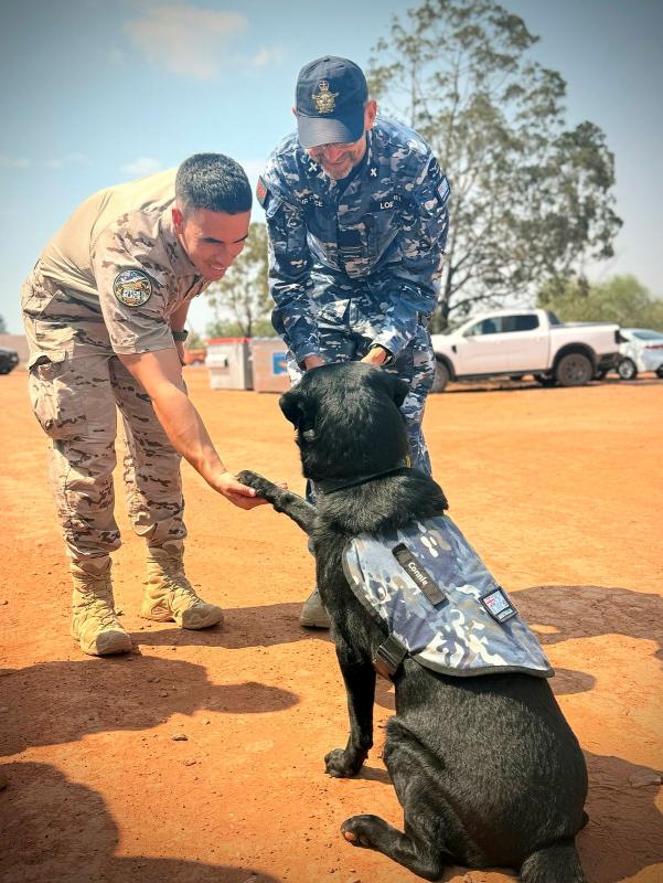 A working dog shakes the hand of a military member.