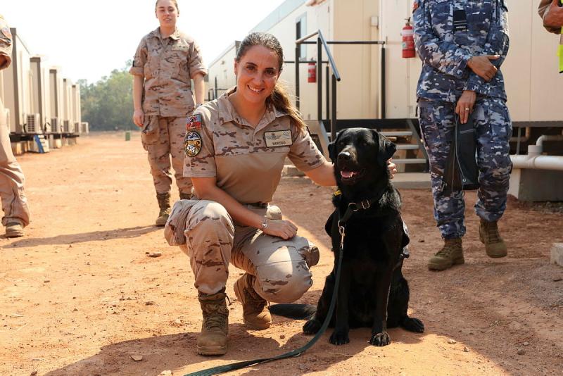 A military woman squats next to a working dog.