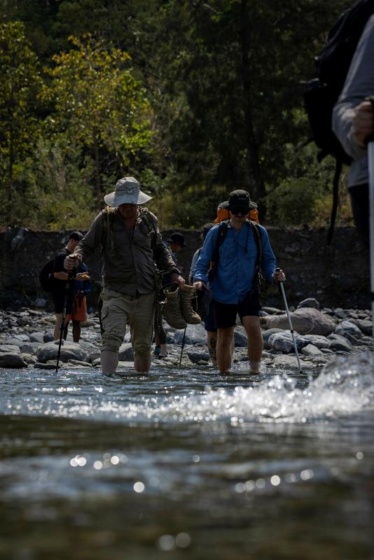 Several people hike through a shallow stream of water.