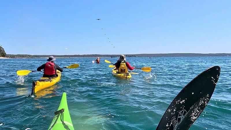 A few people in sea kayaks are seen from the kayak of another person. An aircraft flies overhead.