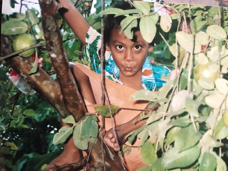 A little boy plays in the branches of a tree.