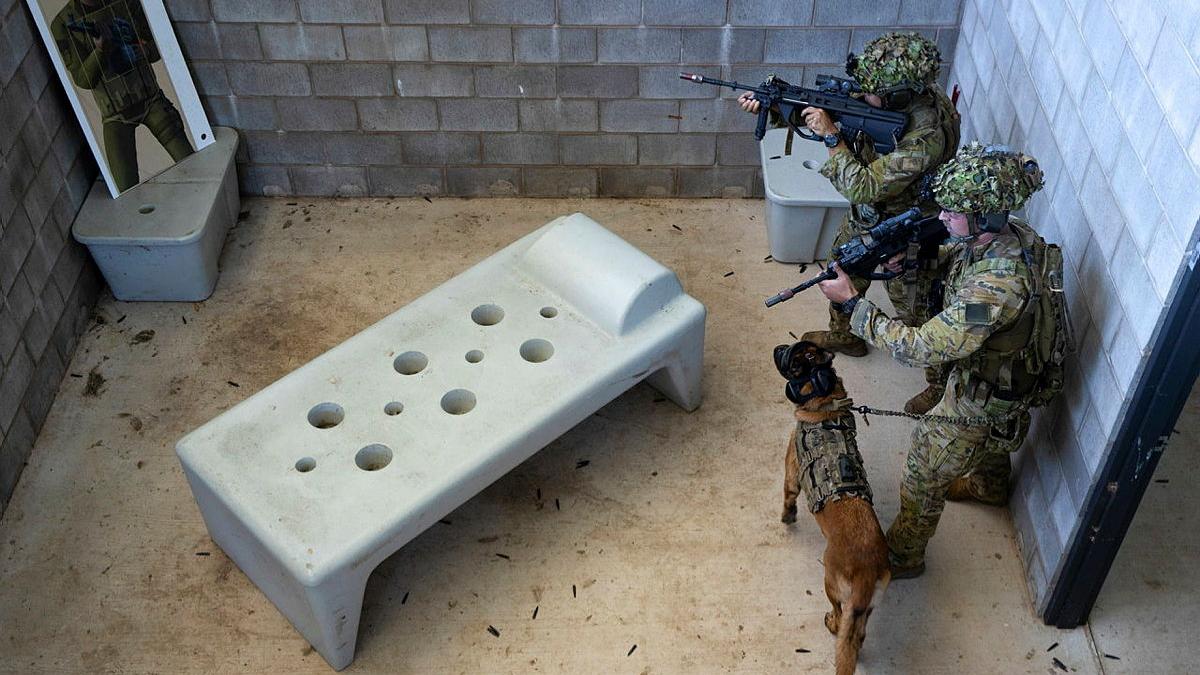 Australian Army soldiers from the 1 Military Police Battalion conduct urban clearances with military working dogs.