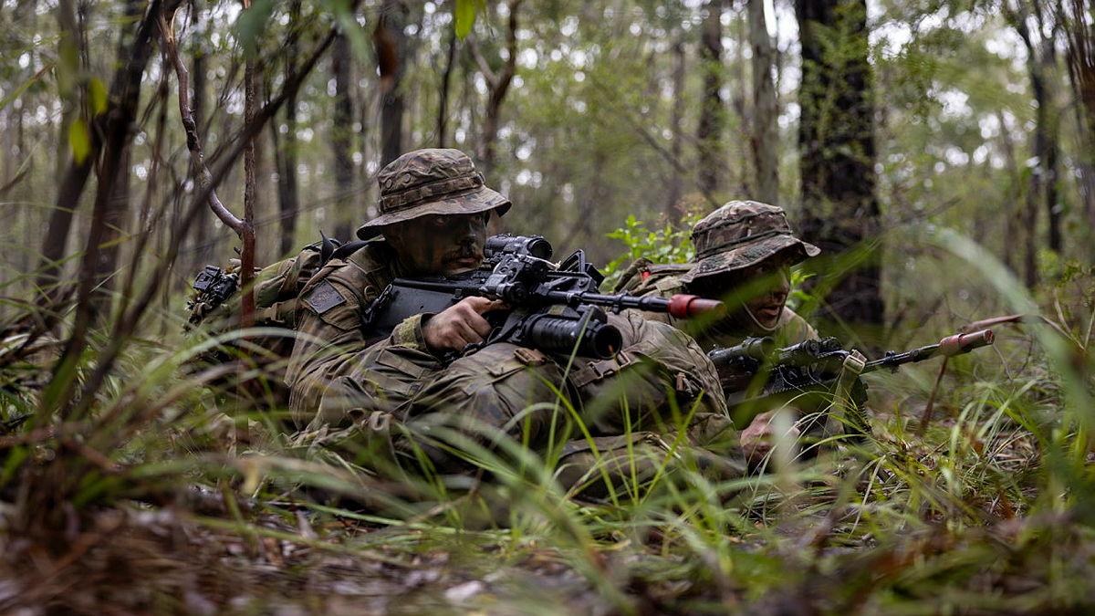 Two soldiers lay on their bellies with guns in hand in the bush.