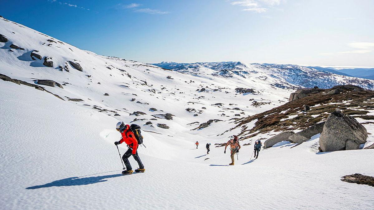A group of people hike in a loose line up a snow-covered mountain.